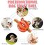 10Pcs Hundespielzeug für Kleine Hunde, Quietschende Plüsch Hundespielzeug Set, Welpe Zahnen Spielzeug Seil Ball, Unzerstörbar Hund Kauspielzeug, Hundespielzeug Geschenk für Kleine Mittlere Hunde