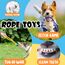 Speedy Panther 10 Stück Welpen Spielzeug Set - Plüsch Hundespielzeug mit Quietscher, Kauspielzeug & Ball für Kleine Hunde - Zahnpflege Welpenspielzeug & Zubehör für Junghunde