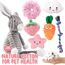 10Pcs Hundespielzeug für Kleine Hunde, Quietschende Plüsch Hundespielzeug Set, Welpe Zahnen Spielzeug Seil Ball, Unzerstörbar Hund Kauspielzeug, Hundespielzeug Geschenk für Kleine Mittlere Hunde