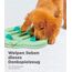 Outward Hound Nina Ottosson Puppy Hide n' Slide - Interaktives Leckerli-Denkspielzeug für Hunde - Grün