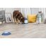 TRIXIE Hundespielzeug Intelligenz Dog Activity Strategie-Spiel Memory Trainer 3.0 – Anspruchsvolles Intelligenzspielzeug für Hunde zur Beschäftigung 20x24cm, tierschutzkonform - 32040