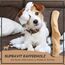 Supravit Natürlicher Kauknochen aus Kaffeeholz für Hunde M | Mehr als EIN Holzstäbchen - spannendes Hunde Kauspielzeug & langanhaltende Beschäftigung | Kaustab Kauholz