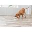 TRIXIE Dog Activity Snackball Naturgummi ø 9 cm Hundespielzeug