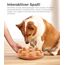 Outward Hound Nina Ottosson Hundespielzeug Intelligenz - Stufe 1 Anfänger - Leckerli-Spender, Beschäftigung & Intelligenzspielzeug für Hunde & Welpen, bei Langeweile & mentaler Stimulation