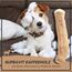 Supravit Natürlicher Kauknochen aus Kaffeeholz für Hunde L | Mehr als EIN Holzstäbchen - spannendes Hunde Kauspielzeug & langanhaltende Beschäftigung | Kaustab Kauholz