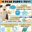 Speedy Panther 10 Stück Welpen Spielzeug Set - Plüsch Hundespielzeug mit Quietscher, Kauspielzeug & Ball für Kleine Hunde - Zahnpflege Welpenspielzeug & Zubehör für Junghunde
