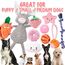 10Pcs Hundespielzeug für Kleine Hunde, Quietschende Plüsch Hundespielzeug Set, Welpe Zahnen Spielzeug Seil Ball, Unzerstörbar Hund Kauspielzeug, Hundespielzeug Geschenk für Kleine Mittlere Hunde