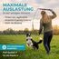 HUND IST KÖNIG Reizangel für Hunde - Profi Hundeangel für ultimativen Spielspaß & körperliche Auslastung - inkl. 2 Tauen + Ersatzseil + eBook - robust & leicht, für große & kleine Fellnasen