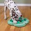 Outward Hound Nina Ottosson Puppy Hide n' Slide - Interaktives Leckerli-Denkspielzeug für Hunde - Grün