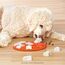 Outward Hound Nina Ottosson Ersatz-Spielknochen für Hunde-Denkspielzeug - 5er-Packung