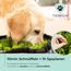 Tierfein Schnüffelteppich Hund – Intelligentes Hundespielzeug für kleine & große Hunde – waschbar & größenverstellbar – Welpenspielzeug & Intelligenztraining für Hunde