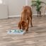 TRIXIE Hundespielzeug Intelligenz Dog Activity Strategiespiel „Chess“ – Anspruchsvolles Intelligenzspielzeug für Hunde zur Beschäftigung, ø 40x27cm – 32022