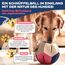 Lixdee Schnüffelball für Hunde – Intelligenzspielzeug mit 4 Schwierigkeitsstufen – Interaktives Hundespielzeug für Leckerlis & zur Förderung der Intelligenz – Beschäftigung für kleine & große Hunde