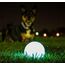 Chuckit! CH33067 Max Glow Medium 2-er Pack