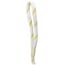 TRIXIE 33482 Ball am Seil, Naturgummi, schwimmt, ø 7/35 cm, farblich Sortiert (Packung mit 2)