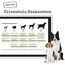 Chewies Kauknochen Hunde-Spielzeug aus Olivenholz für Hunde - 100 % natürliches Hundezubehör risikoarm & langlebig - Größe M: Für Hunde bis 20 kg Körpergewicht