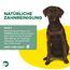 Topdog Kauknochen Hund 100 Stück 12 cm - Rinderhautknochen für Hunde aus 100% Rind - Hundekauknochen - Pflegt die Zähne und unterstützt den natürlichen Kautrieb Ihres Hundes