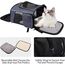 Morpilot Katzenrucksack, Hunderucksack für Katzen Hunde, Faltbare Haustier Rucksack mit Transparentes Netzfenster Atmungsaktive und Leichte Hundetasche