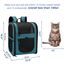 apollo walker HundeRucksack und KatzenRucksack für Kleine Haustiere(Belastbarkeit 2-15kg) - Gepolsterter Rückenstütze Hundetasche Atmungsaktiver Netz-Tierrucksack für Wandern, Reisen, Outdoor See blau