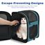 apollo walker HundeRucksack und KatzenRucksack für Kleine Haustiere(Belastbarkeit 2-15kg) - Gepolsterter Rückenstütze Hundetasche Atmungsaktiver Netz-Tierrucksack für Wandern, Reisen, Outdoor See blau
