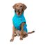 TRIXIE Regenmantel Vimy für Hunde türkis XS - Bauchumfang: 24 - 41 cm – Hunde-Regenjacke mit reflektierenden Elementen für mehr Sichtbarkeit im Dunkeln – bequem & verstellbar - 680201