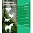 Emma Grün® Pfotenbalsam Hund 100ml – Pfotenschutz vor Streusalz, EIS & heißem Asphalt – Pfotenpflege bei trockenen, rissigen Pfoten & Nasen – Hundepfoten Balsam mit Jojoba, Propolis & Bienenwachs
