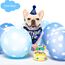Hunde Geburtstag Hut Bandana Set, 3 Stücke Hunde Geburtstags Bandana Mütze mit 8 Bling Nummern, Hundegeburtstagsgeschenk, Hund Geburtstag Deko (Blau)