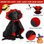HSSPYY Karneval Hundekostüm Größe – Vampir Umhang mit Stehkragen & Doppelverschluss – Robust, Bequem & Ideal für Fasching, Umzug & Fotos - M (50 cm)