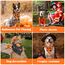 Vivifying Halloween Halstuch Hund, 2Pcs Einstellbare Dreieck Hundehalstuch mit Hexe Kürbis-Muster, Hundekostüm Halloween für kleine mittlere große Hunde L