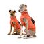 ZAUBERPFOTE® Hunderegenmantel London I Mit extra langem YKK® Reißverschluss für Halsband & Geschirr I Für kleine, mittlere & große Hunde I Wasserdicht & Maschinenwaschbar I Regenmantel für Hunde (55)