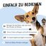 Belly® Pfotenbalsam Hund -50ml- Pfotenpflege für Hunde im Winter - Pfotenbalsam für Hunde bei Schnee, EIS & Streusalz - Hundepfoten Balsam - Pfotenpflege Hund