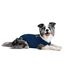 MPS Medical Pet Shirt, Blau, für mittelgroße Hunde, M