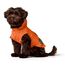 Hunter Hunde-Regenmantel Milford, Farbe: orange, ergonomische Passform für optimalen Schutz, individuell verstellbar, Reißverschluss für Geschirrträger, pflegeleicht & waschbar bei 30 °C, Größe: 35