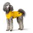 Hunter Hunde-Regenmantel Milford, Farbe: gelb, ergonomische Passform für optimalen Schutz, individuell verstellbar, Reißverschluss für Geschirrträger, pflegeleicht & waschbar bei 30 °C, Größe: 65