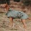 Hunter Hunde-Regenmantel Milford, Farbe: grün, ergonomische Passform für optimalen Schutz, individuell verstellbar, Reißverschluss für Geschirrträger, pflegeleicht & waschbar bei 30 °C, Größe: 80
