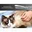 Zupfzange für Hundeohren Haarzange Hunde Haarzupfzange Tierhaar-Entferner Edelstahl Rostfrei mit Innenzahnung ohne Sperre in Profi-Qualität (14 cm)