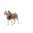 HUNTER Hundepullover MALMÖ, Farbe: beige, klassisches Zopfstrick-Muster, wärmend & bequem, elastisch für optimalen Sitz, reflektierend für mehr Sichtbarkeit, waschbar bei 30°C, Größe: 45