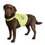TRIXIE Warnweste für Hunde XS neongelb – Sicherheitsweste mit reflektierenden Elementen für mehr Sicherheit im Dunkeln – verstellbar & pflegeleicht mit Klettverschluss - 30080