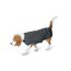 HUNTER Hundepullover MALMÖ, Farbe: anthrazit, klassisches Zopfstrick-Muster, wärmend & bequem, elastisch für optimalen Sitz, reflektierend für mehr Sichtbarkeit, waschbar bei 30°C, Größe: 45