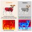 Woiil Hundemantel Hundejacke Wintermantel für Grosse Hunde, Hundemantel Winter mit Geschirr, Hunde Wintermantel Kostüm Ärmellose Baumwolle Gepolsterte Weste Wasserdicht Warme Reflektierend, Rot XL
