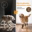 PICK FOR LIFE 2 Paar Anti-Rutsch-Hundesocken, Weiche Socken für den Pfotenschutz von Hunden mit verstellbarem Klettverschluss für den Innen