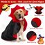 HSSPYY Karneval Hundekostüm Größe – Vampir Umhang mit Stehkragen & Doppelverschluss – Robust, Bequem & Ideal für Fasching, Umzug & Fotos - L(60 cm)