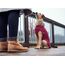 HUNTER Hundepullover MALMÖ, Farbe: bordeaux, klassisches Zopfstrick-Muster, wärmend & bequem, elastisch für optimalen Sitz, reflektierend für mehr Sichtbarkeit, waschbar bei 30°C, Größe: 50