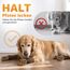 PICK FOR LIFE 2 Paar Anti-Rutsch-Hundesocken, Weiche Socken für den Pfotenschutz von Hunden mit verstellbarem Klettverschluss für den Innen