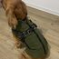 Woiil Hundemantel Hundejacke Wintermantel für Grosse Hunde, Hundemantel Winter mit Geschirr, Hunde Wintermantel Ärmellose Baumwolle Gepolsterte Weste Wasserdicht Warme Reflektierend, Armeegrün 3XL