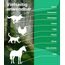 Emma Grün® Pfotenbalsam Hund 2x100ml – Pfotenschutz vor Streusalz, EIS & heißem Asphalt – Pfotenpflege bei trockenen, rissigen Pfoten & Nasen – Hundepfoten Balsam mit Jojoba, Propolis & Bienenwachs