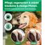 Emma Grün® Pfotenbalsam Hund 2x100ml – Pfotenschutz vor Streusalz, EIS & heißem Asphalt – Pfotenpflege bei trockenen, rissigen Pfoten & Nasen – Hundepfoten Balsam mit Jojoba, Propolis & Bienenwachs