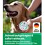 Emma Grün® Pfotenbalsam Hund 2x100ml – Pfotenschutz vor Streusalz, EIS & heißem Asphalt – Pfotenpflege bei trockenen, rissigen Pfoten & Nasen – Hundepfoten Balsam mit Jojoba, Propolis & Bienenwachs