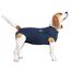 MPS Medical Pet Shirt, Hund, Blau, für kleine+ Hunde
