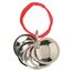 Trixie 2288 Dog Activity Trainings-Discs, ø 4,5 cm, 1 Stück (1er Pack)